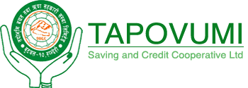 TapoVumi